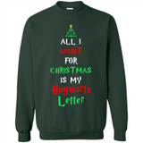 All I want for Christmas is my letter sweater PINGPONG