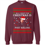 All I want for Christmas is Post Malone PINGPONG
