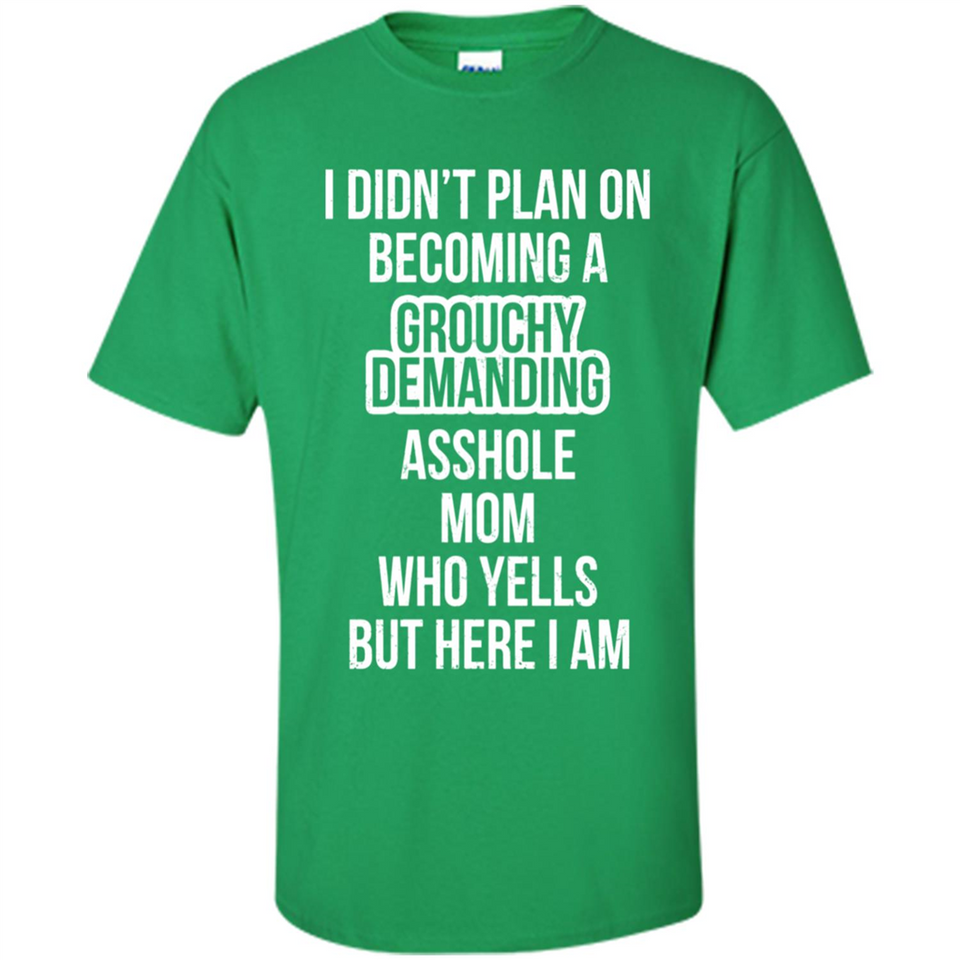 I Didn't Plan on Becoming a Grouchy Demanding
