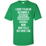 I Didn't Plan on Becoming a Grouchy Demanding