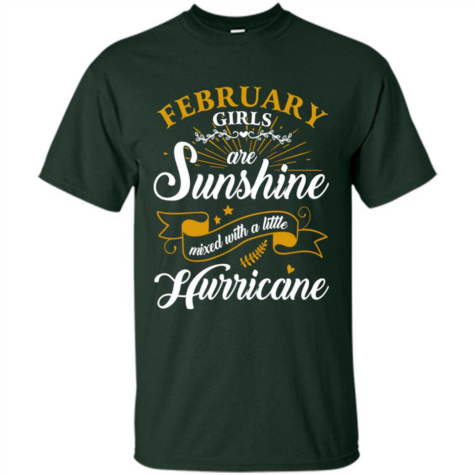 February Girl Are Sunshine Mixed With a Little Hurricane