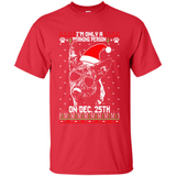 Morning Person Dutch Shepherd Funny Xmas - Shirt