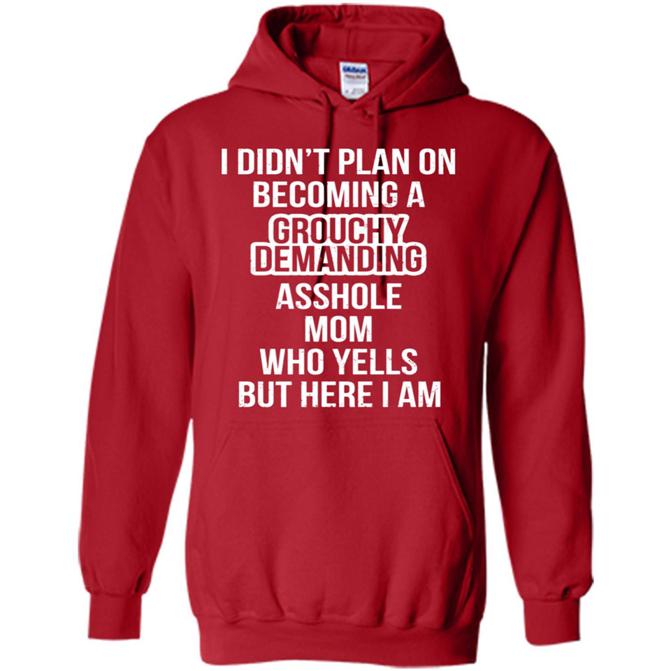 I Didn't Plan on Becoming a Grouchy Demanding