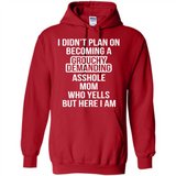 I Didn't Plan on Becoming a Grouchy Demanding