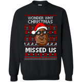 The Notorious BIG - I Wonder Why Christmas Missed Us