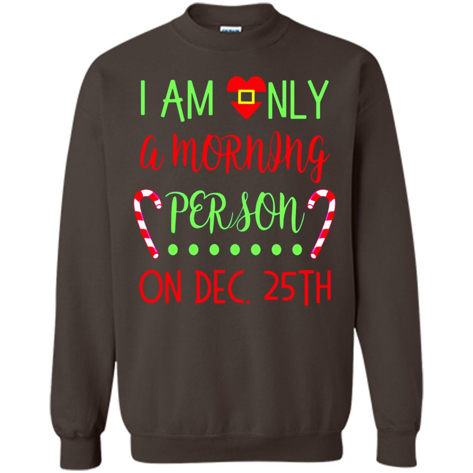 Funny Christmas Gift Santa - Sweatshirt