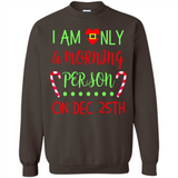 Funny Christmas Gift Santa - Sweatshirt