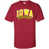University of Iowa Hawkeyes NCAA