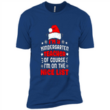 I'm a Kindergarten Teacher Christmas PINGPONG