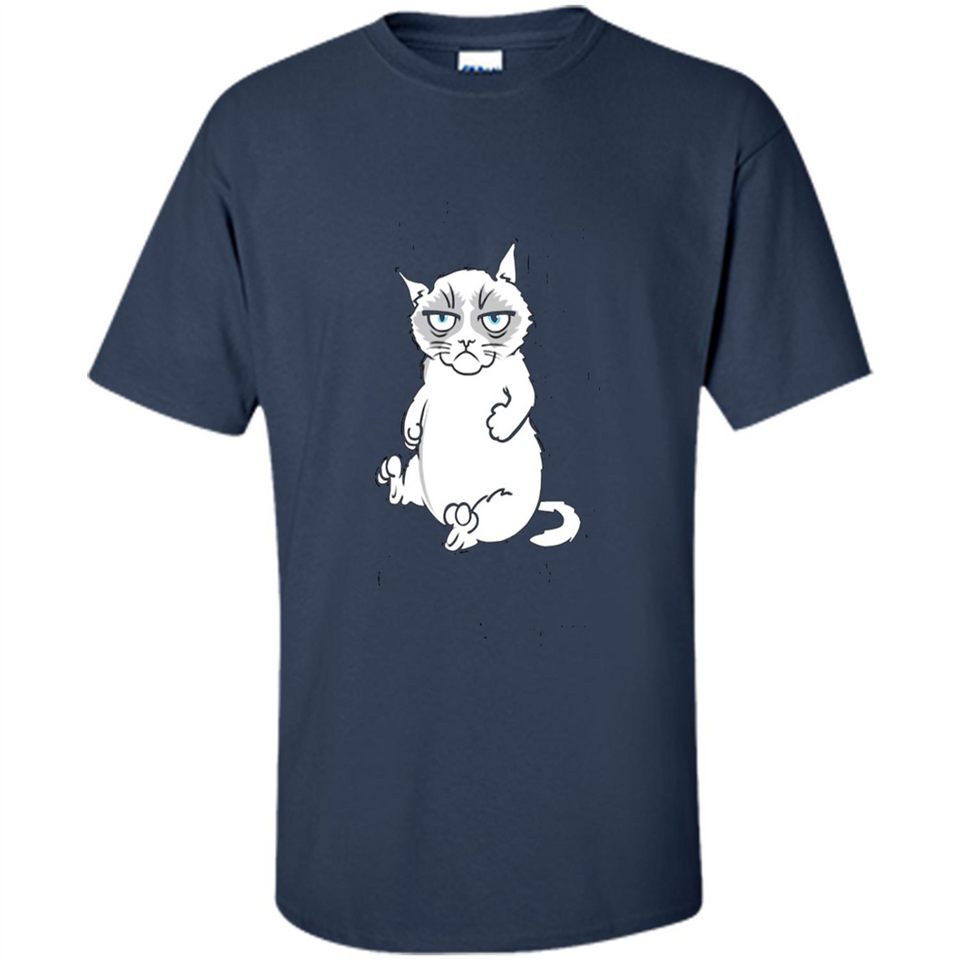 annoyed kitty touchy kitty grouchy ball of fur noody kitty PING PONG