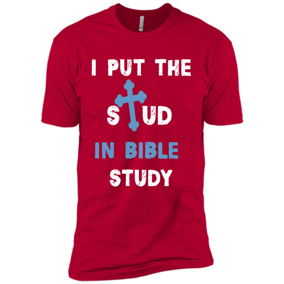 I PUT THE STUD IN BIBLE STUDY CROSS