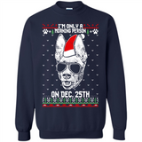 Morning Person Pharaoh Hound Funny Xmas - Sweatshirt