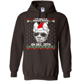 Morning Person Pharaoh Hound Funny Xmas - Hoodie