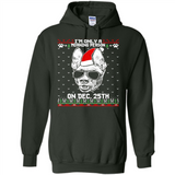 Morning Person Pharaoh Hound Funny Xmas - Hoodie