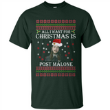 All I Want For Christmas Is Post Malone