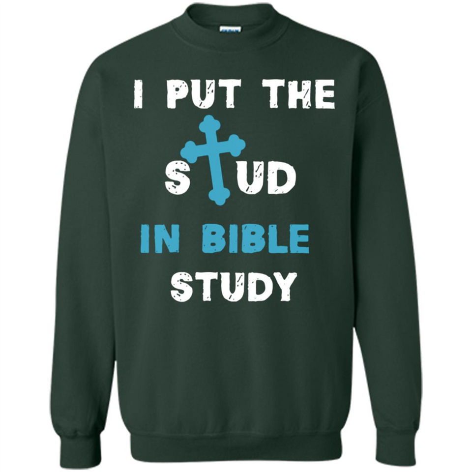 I PUT THE STUD IN BIBLE STUDY CROSS