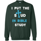 I PUT THE STUD IN BIBLE STUDY CROSS