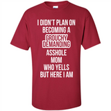 I Didn't Plan on Becoming a Grouchy Demanding