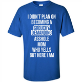 I Didn't Plan on Becoming a Grouchy Demanding