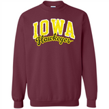 University of Iowa Hawkeyes NCAA