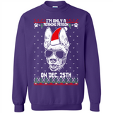 Morning Person Pharaoh Hound Funny Xmas - Sweatshirt