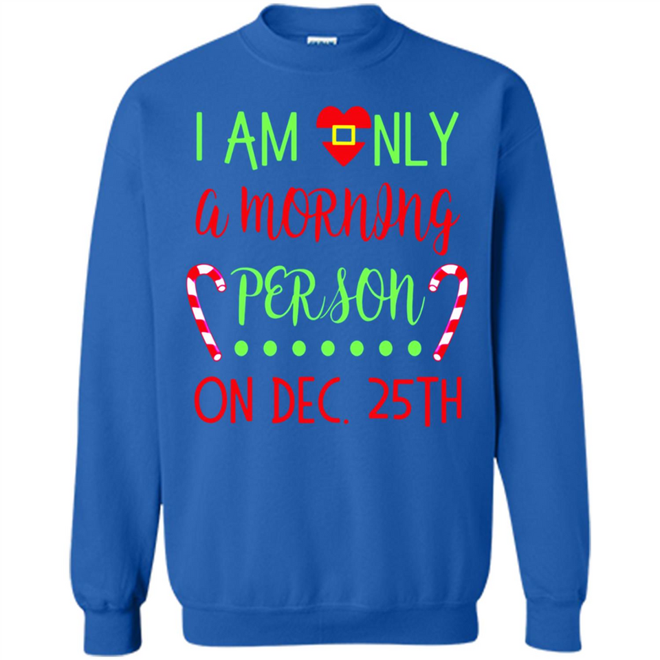 Funny Christmas Gift Santa - Sweatshirt