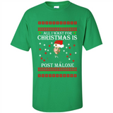 All I want for Christmas is Post Malone PINGPONG