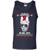 Morning Person Pharaoh Hound Funny Xmas - Tank Top