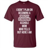 I Didn't Plan on Becoming a Grouchy Demanding