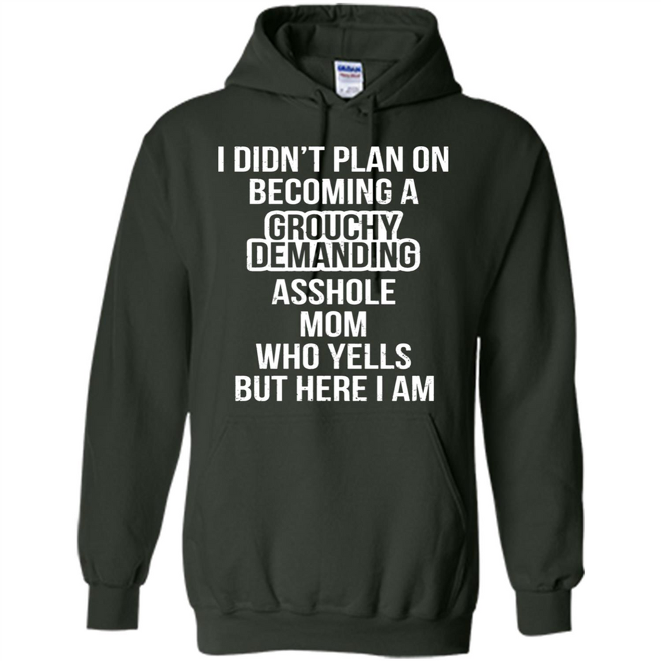 I Didn't Plan on Becoming a Grouchy Demanding