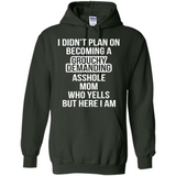 I Didn't Plan on Becoming a Grouchy Demanding