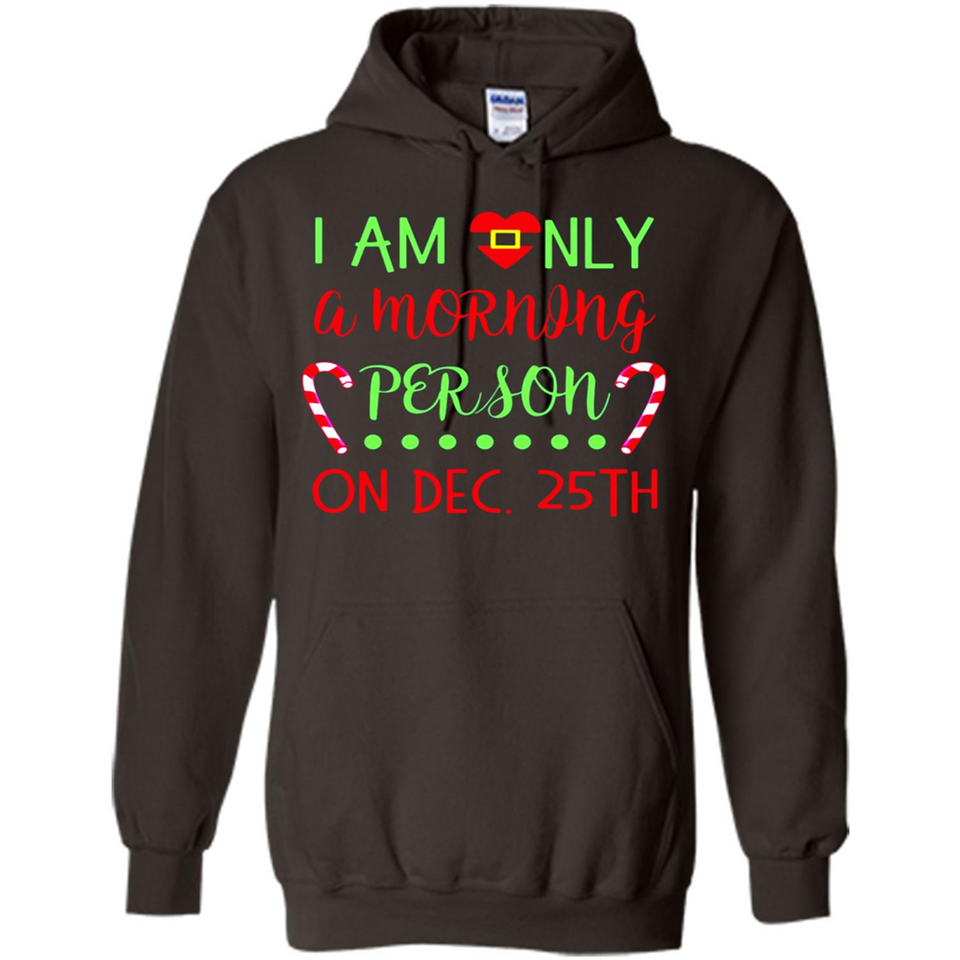 Funny Christmas Gift Santa - Hoodie