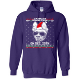 Morning Person Pharaoh Hound Funny Xmas - Hoodie