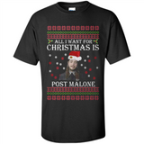 All I Want For Christmas Is Post Malone