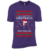 All I want for Christmas is Post Malone PINGPONG