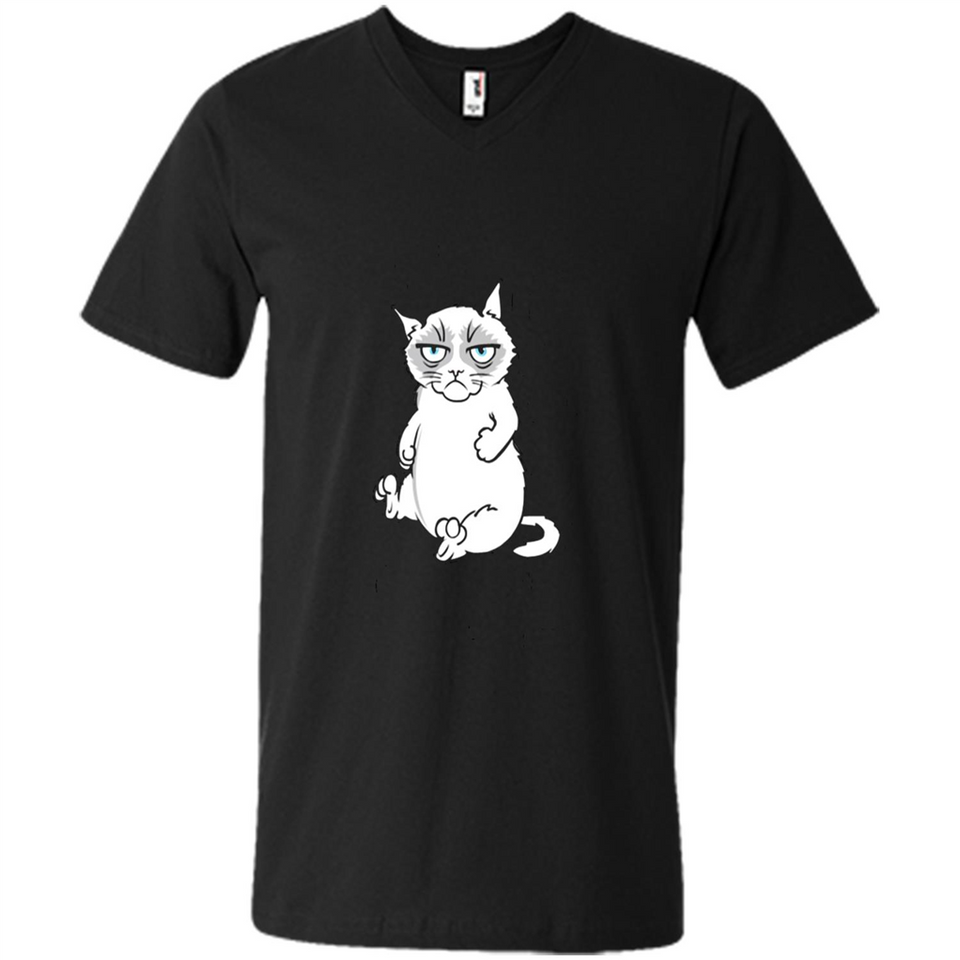 annoyed kitty touchy kitty grouchy ball of fur noody kitty PING PONG