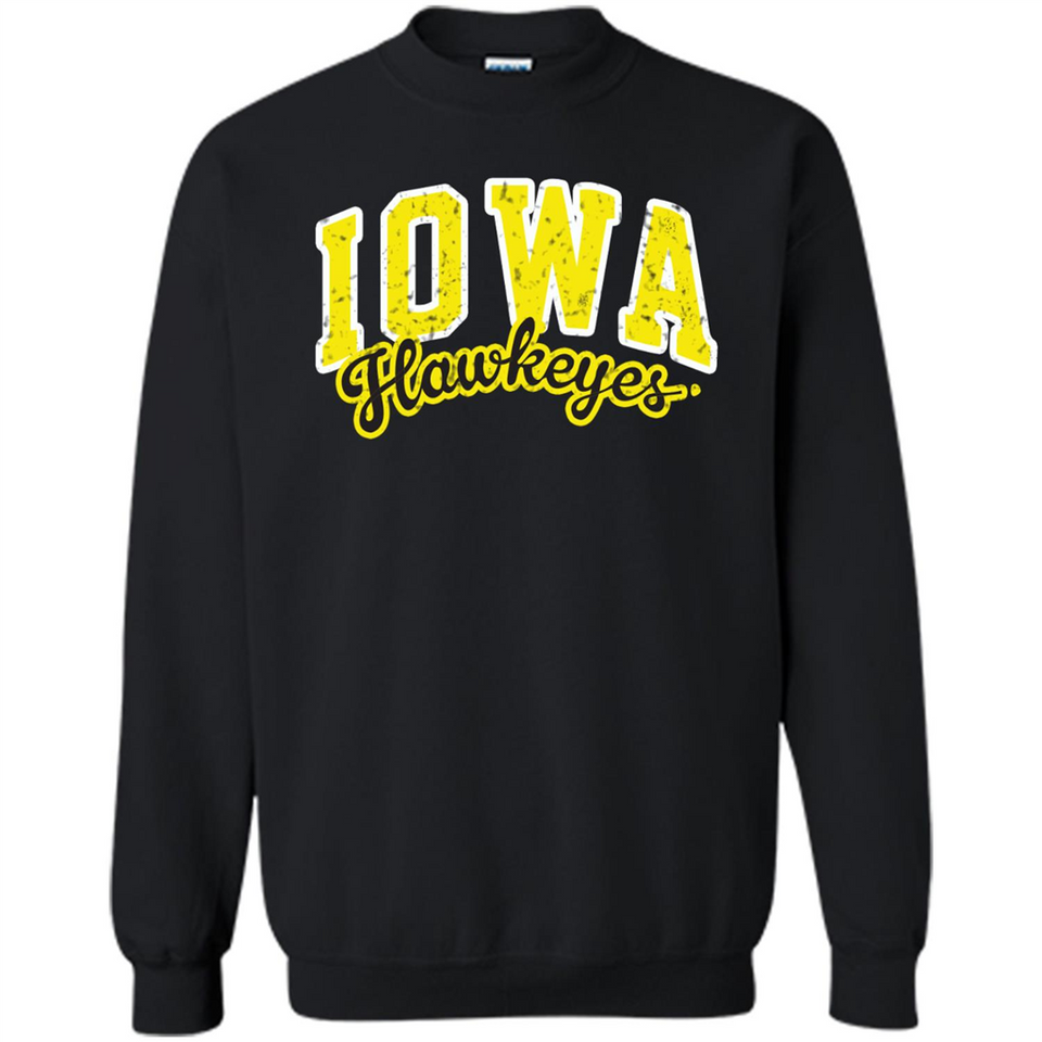 University of Iowa Hawkeyes NCAA
