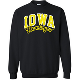 University of Iowa Hawkeyes NCAA
