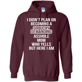 I Didn't Plan on Becoming a Grouchy Demanding