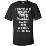 I Didn't Plan on Becoming a Grouchy Demanding