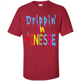 DRIPPIN IN FINESSE