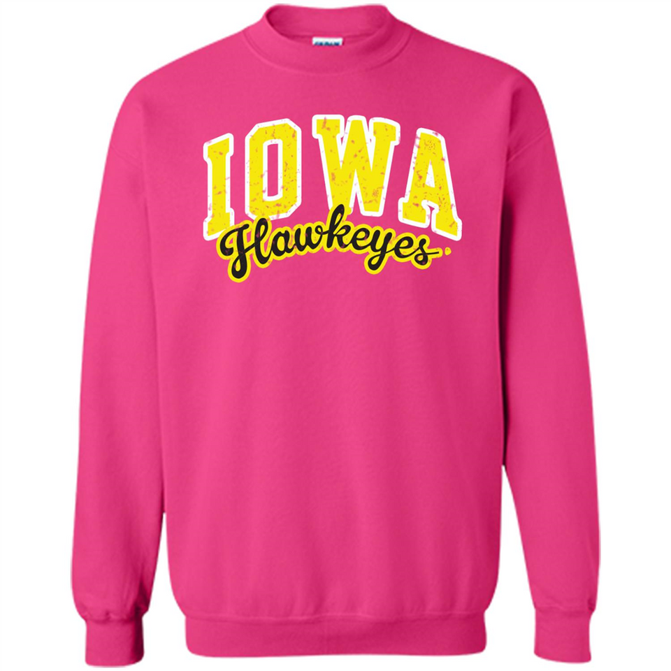University of Iowa Hawkeyes NCAA