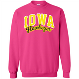 University of Iowa Hawkeyes NCAA