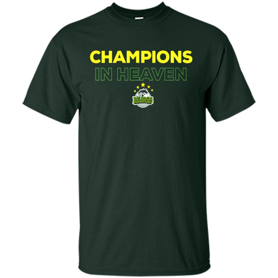 HUMBOLDT BRONCOS CHAMPIONS IN HEAVEN