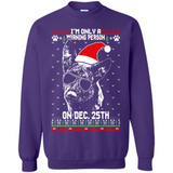 Morning Person Dutch Shepherd Funny Xmas - Sweatshirt