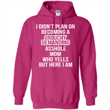 I Didn't Plan on Becoming a Grouchy Demanding