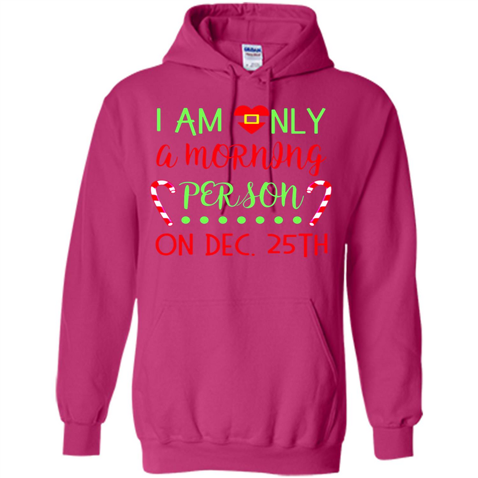 Funny Christmas Gift Santa - Hoodie