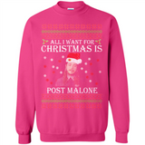 All I Want For Christmas Is Post Malone