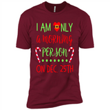 Funny Christmas Gift Santa - Premium Short Sleeve T-Shirt