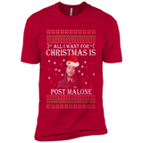 All I Want For Christmas Is Post Malone